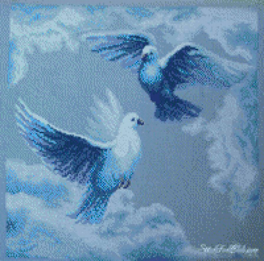 голуби - предпросмотр