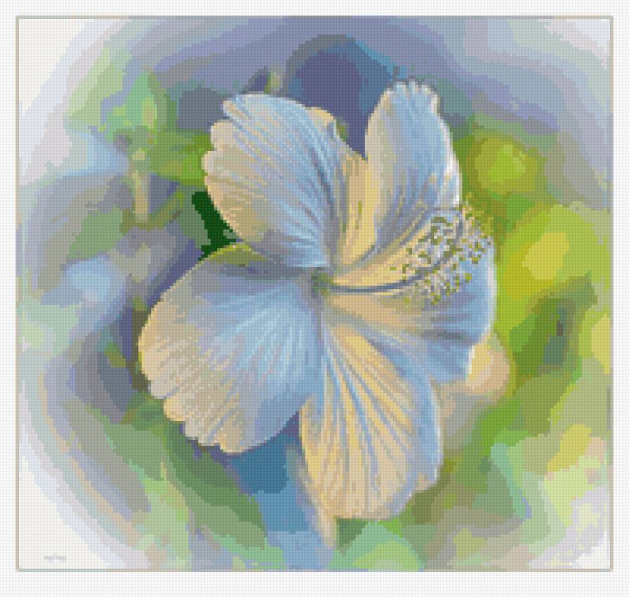 цветы - сер.цветы - предпросмотр