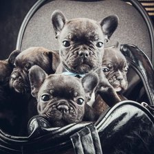 Схема вышивки «французики»