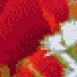 Предпросмотр схемы вышивки «маки на ветру» (№580534)