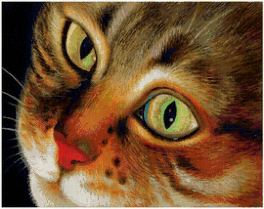 Зеленоглазый красавец - любимец, кот, животные, котенок, друг - предпросмотр