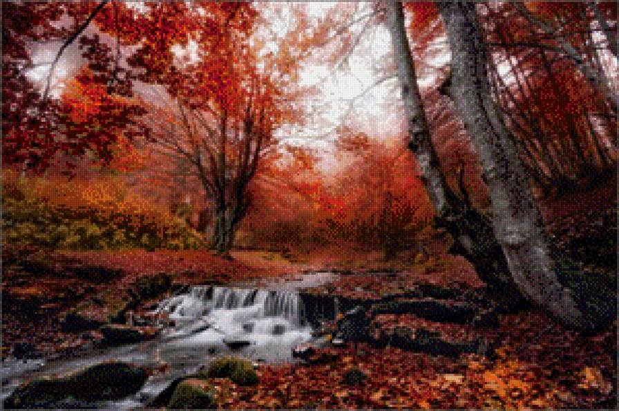 осень - пейзаж, природа, осень - предпросмотр