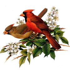 Оригинал схемы вышивки «Птицы на ветке» (№580628)