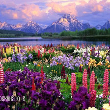 Схема вышивки «303»