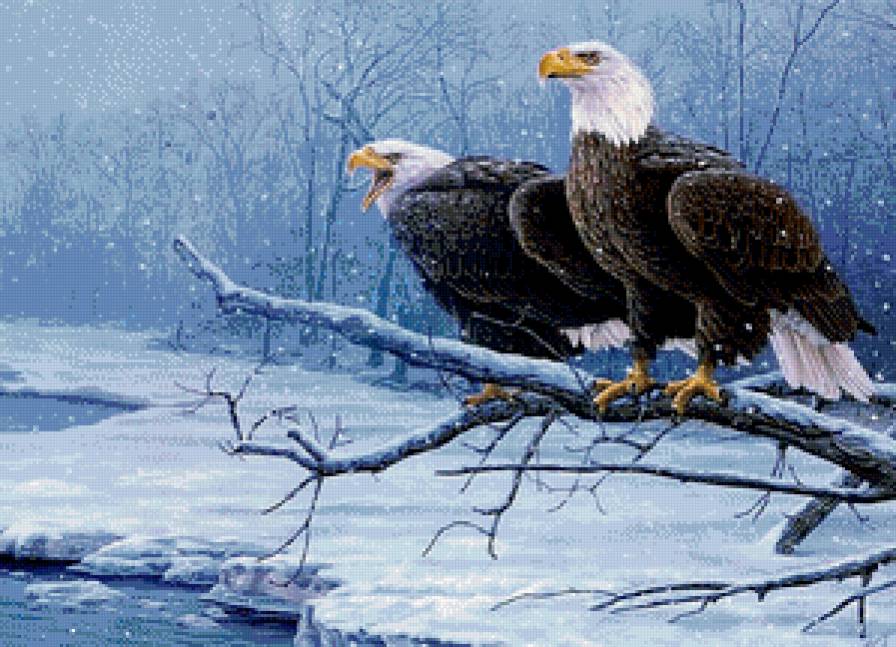 Орлы - пейзаж, орлы, птицы - предпросмотр