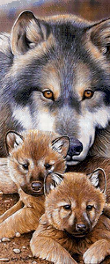 Волчица - волчата, волки, животные - предпросмотр