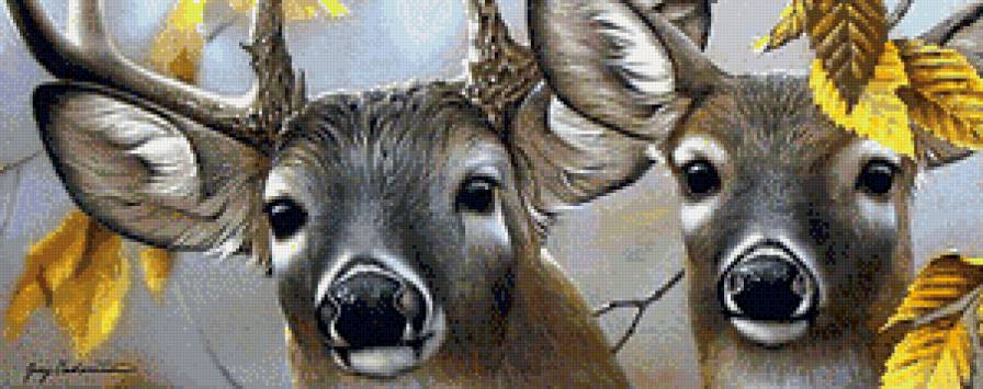 Олени - животные, олени - предпросмотр