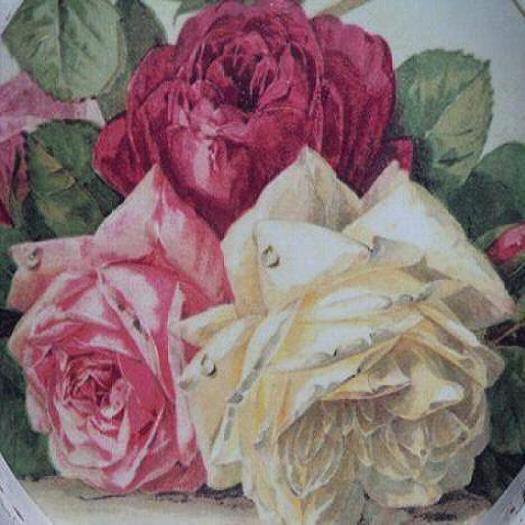 роз р - оригинал