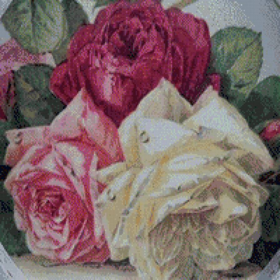 роз р - предпросмотр