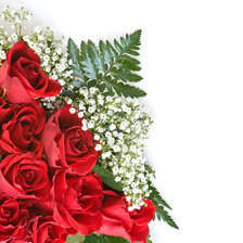 Схема вышивки «Розы»