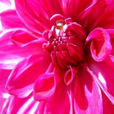 Схема вышивки «геор»