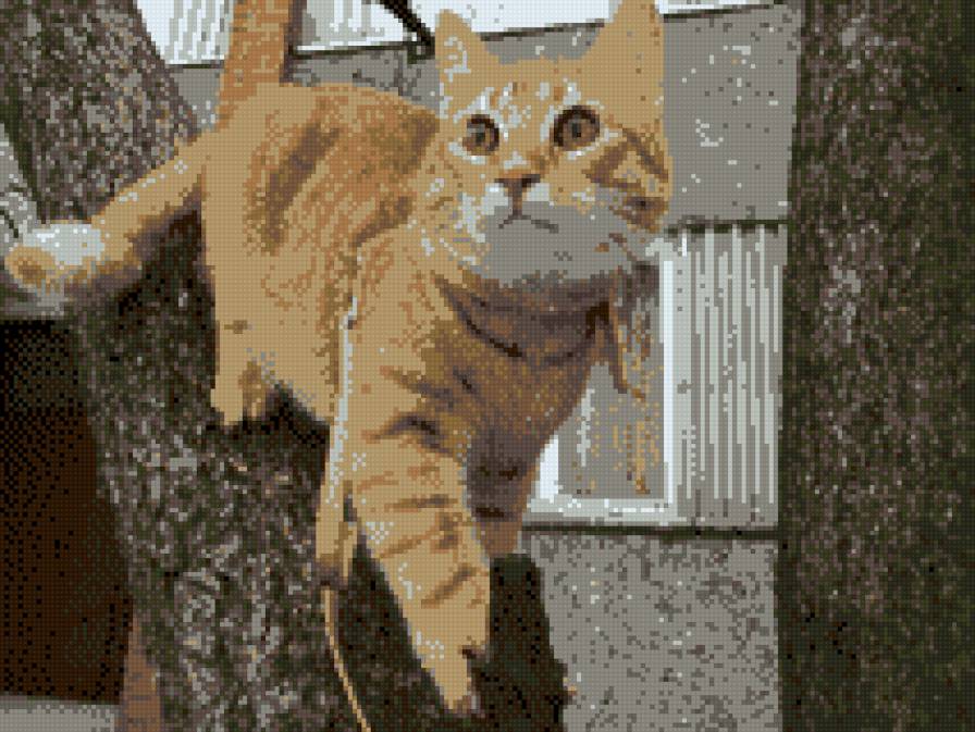 kot - предпросмотр