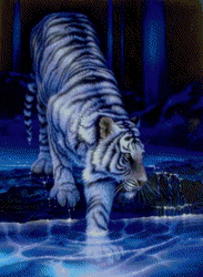 тигр - вода, животные, тигр - предпросмотр