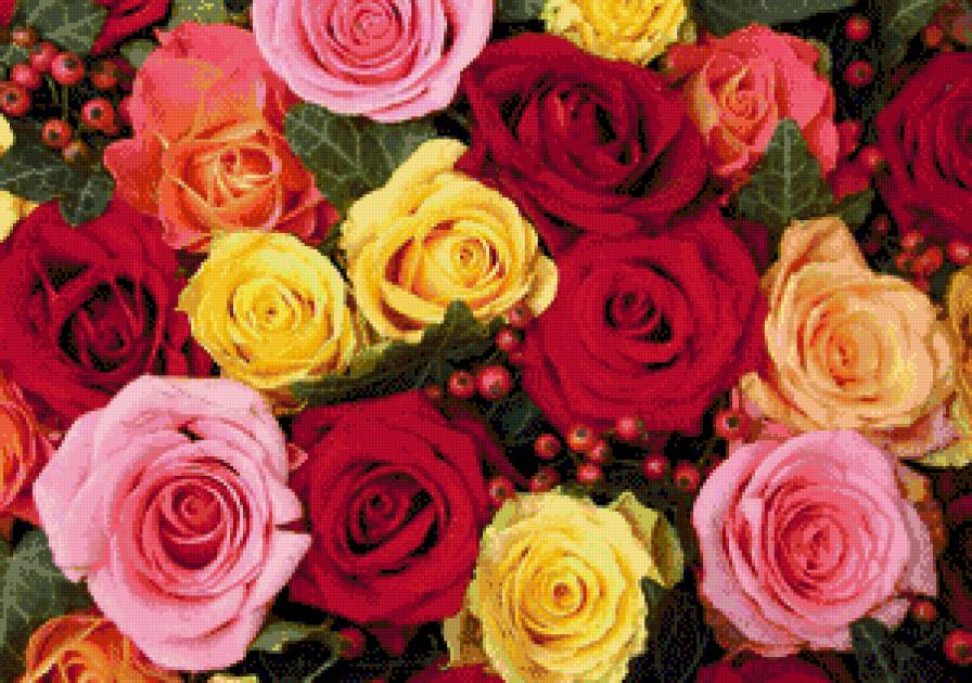 символ любви - розы, цветы - предпросмотр