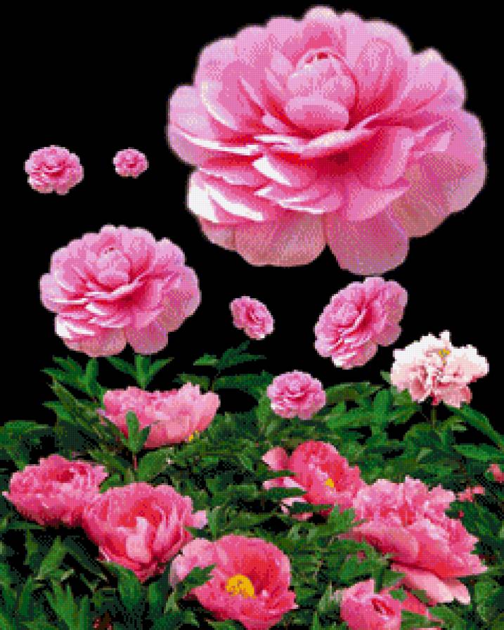 воздушные цветы - цветы - предпросмотр