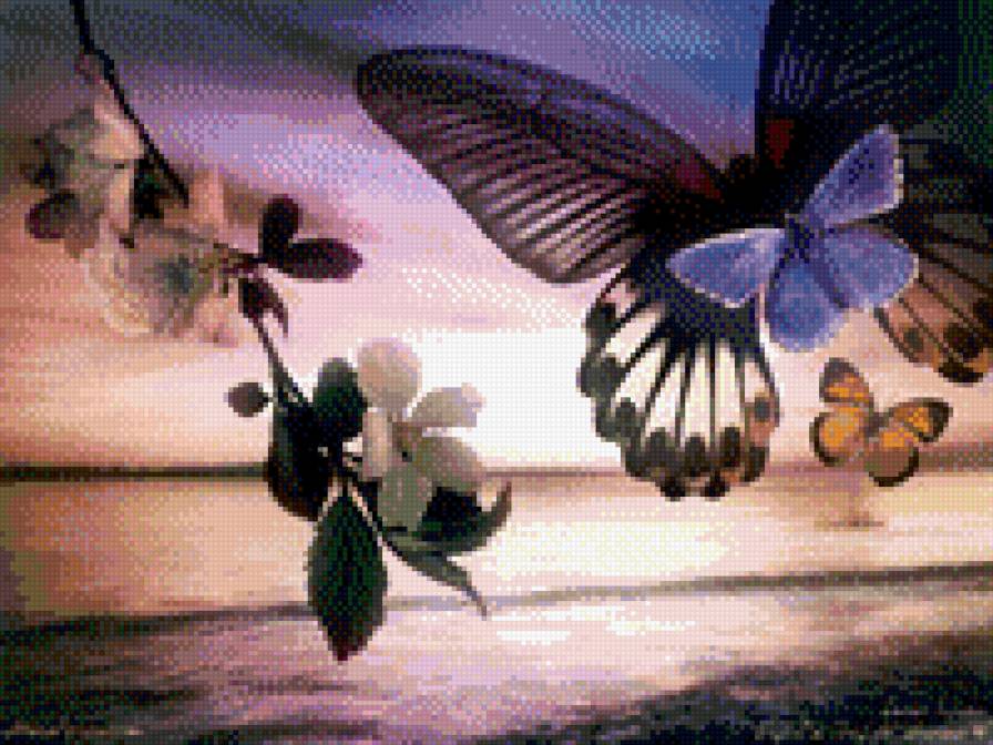 бабоч - предпросмотр