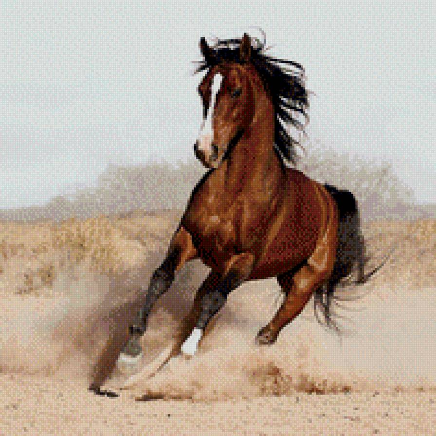 лош - предпросмотр