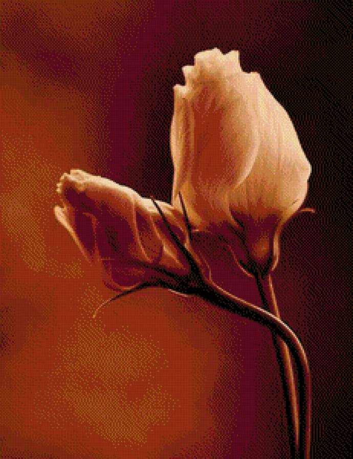 Серия "Цветы" 2 - розы, цветы - предпросмотр