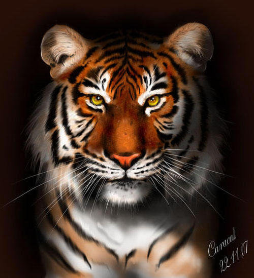 тигр - оригинал