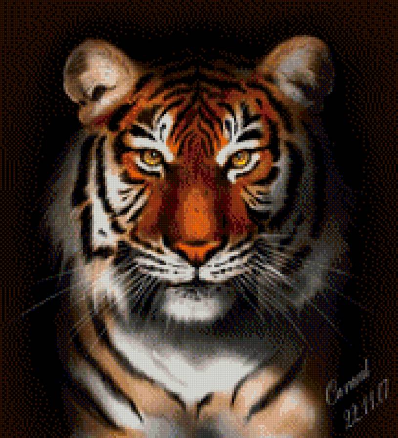 тигр - предпросмотр