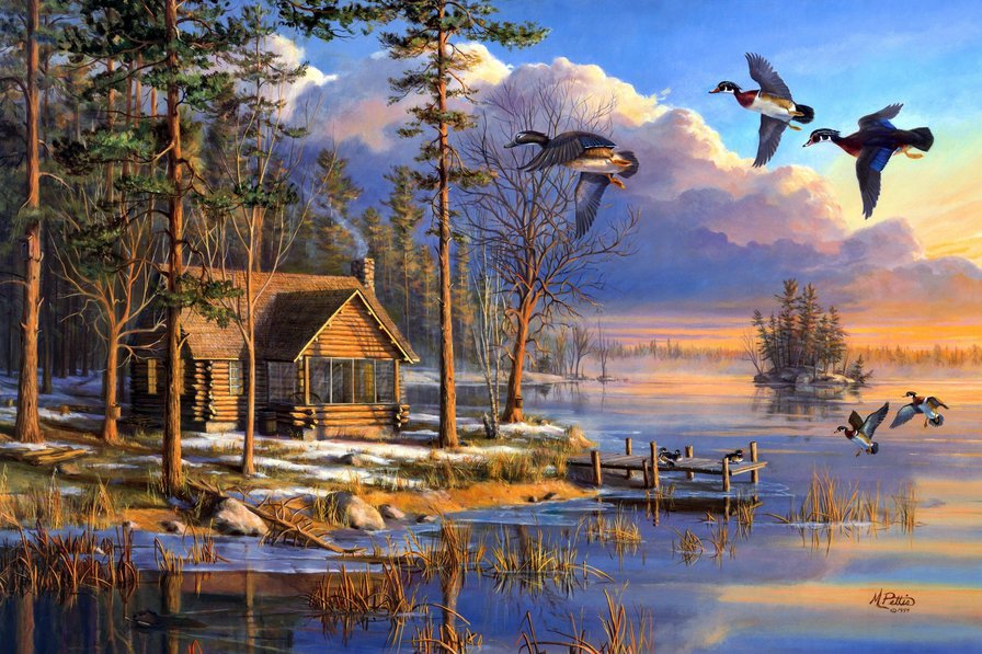 Пейзаж - утки, красиво, дом, пейзаж - оригинал