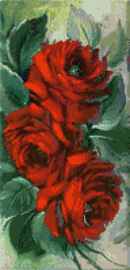 Розы - цветы - предпросмотр