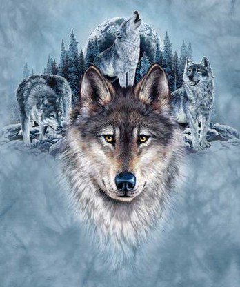 Волки - животные, волк - оригинал