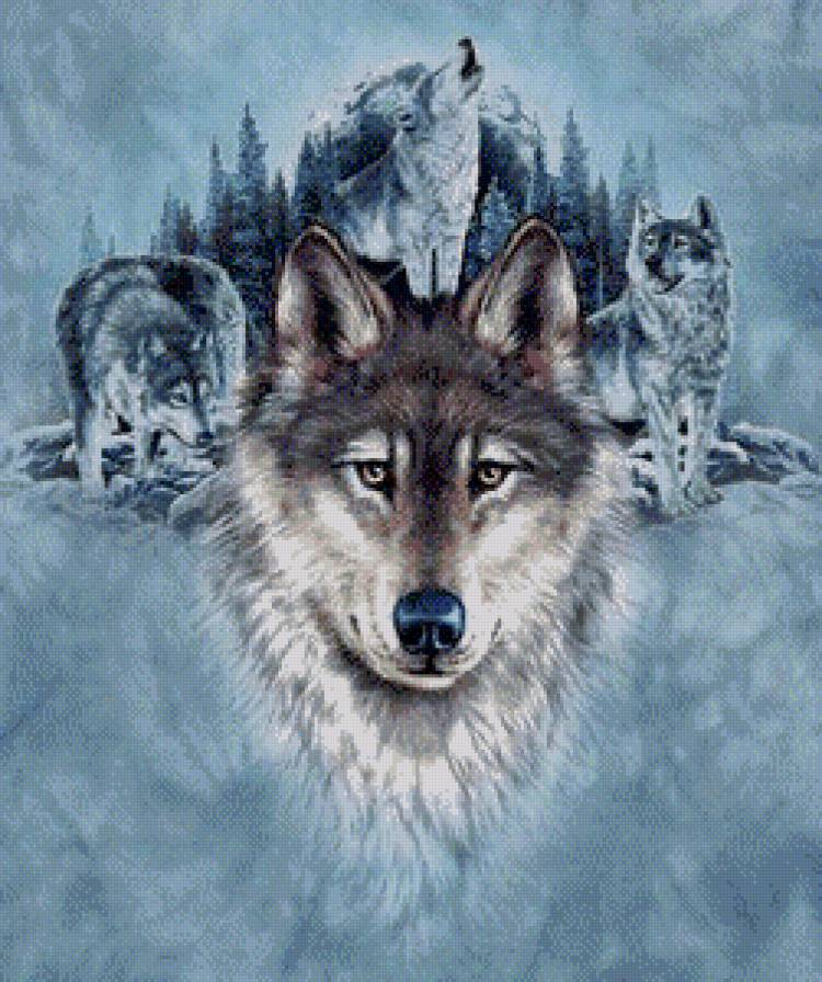 Волки - животные, волк - предпросмотр