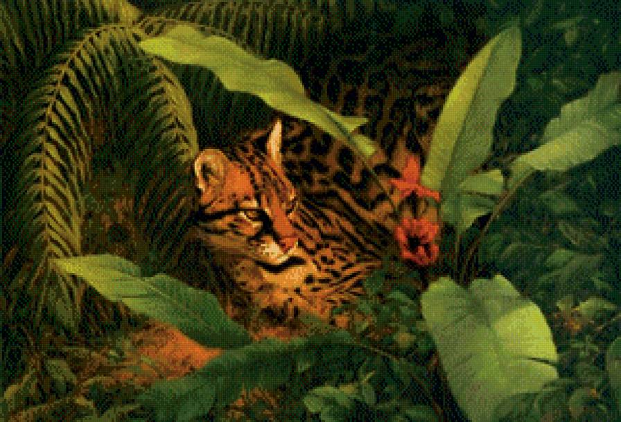 Дикие кошки - животные, дикие кошки - предпросмотр