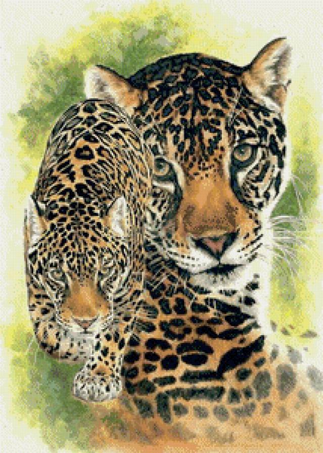 Леопард - дикие кошки, животные - предпросмотр