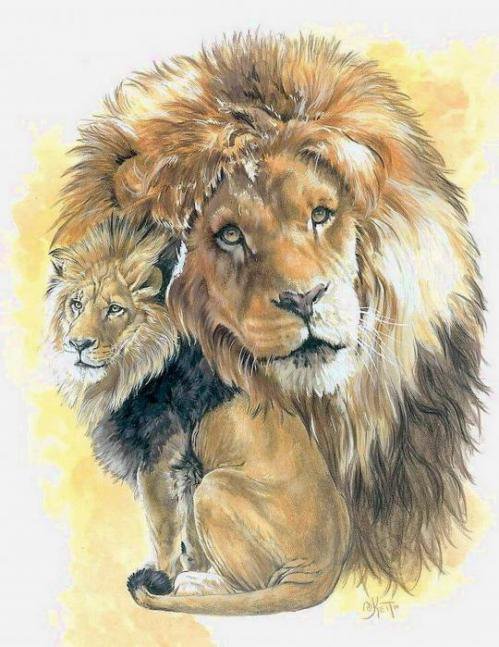Лев - дикие кошки, животные - оригинал