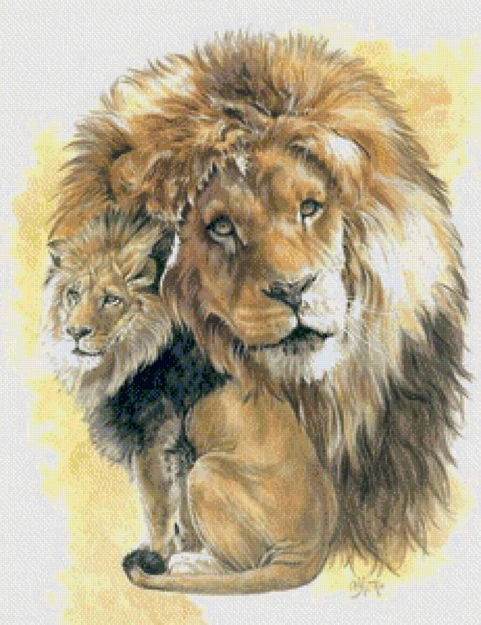 Лев - животные, дикие кошки - предпросмотр