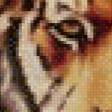 Предпросмотр схемы вышивки «Тигр» (№581498)