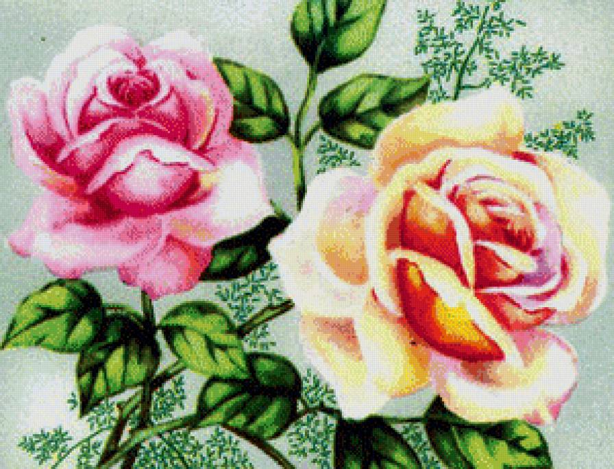 №581537 - розы - предпросмотр