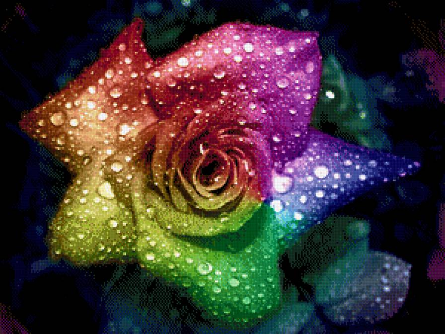 роза - цветы - предпросмотр