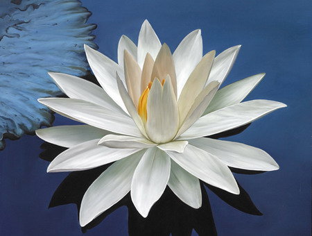 БЕЛЫЙ ЛОТОС - цветы, лотос - оригинал