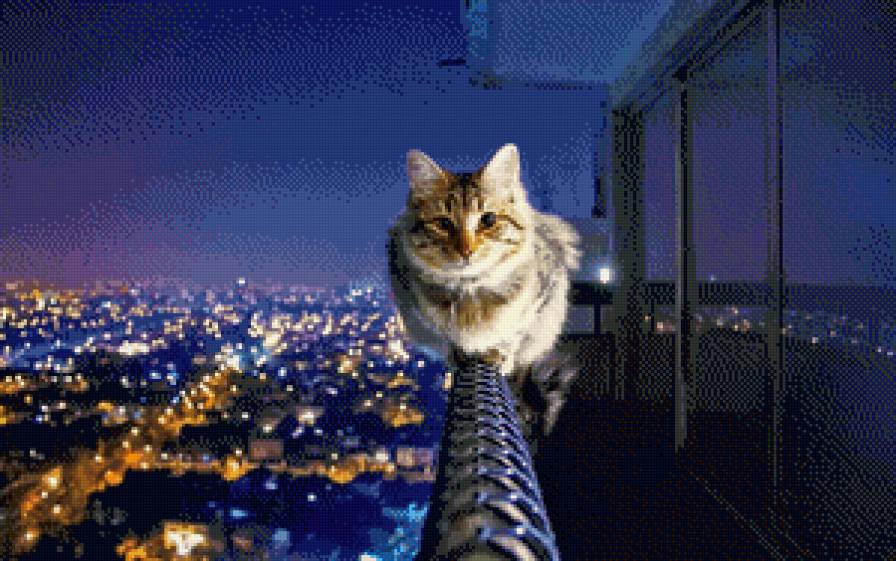 кот - предпросмотр