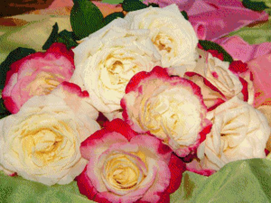 нежный букет - букет, цветы, розы - предпросмотр
