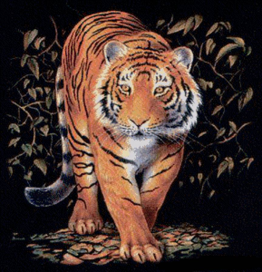 тигр - картина - предпросмотр