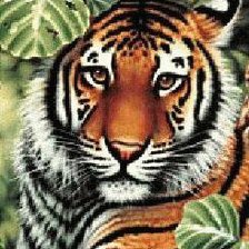 Схема вышивки «тигр»