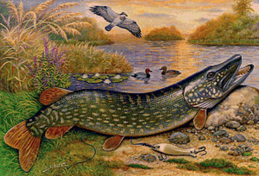 Щука - река, рыбалка, пейзаж, рыба - предпросмотр