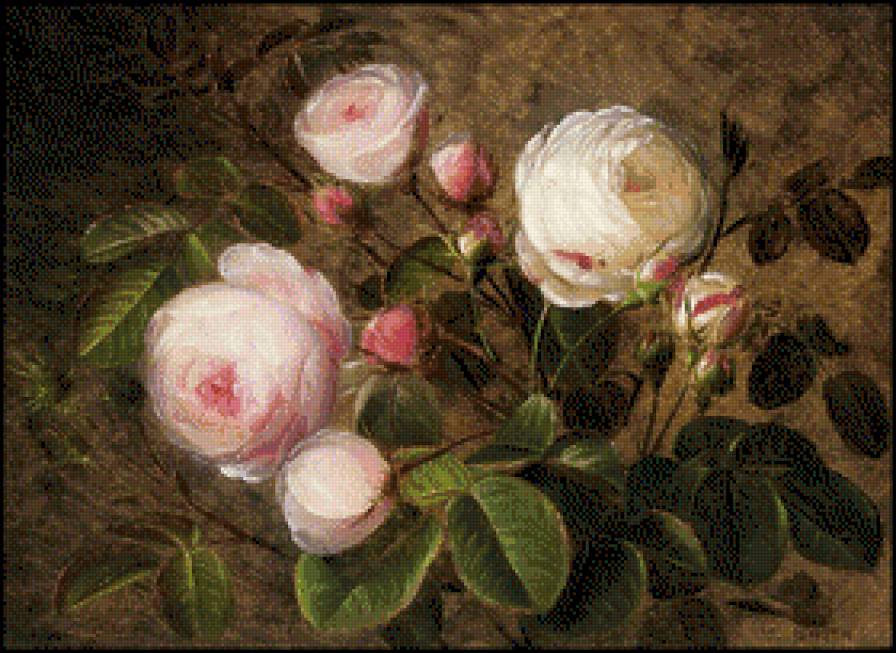Johan L.Lensen - roze w malarstwie - предпросмотр