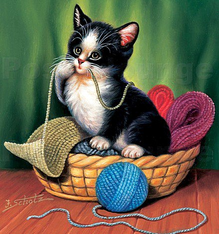 Котенок - оригинал