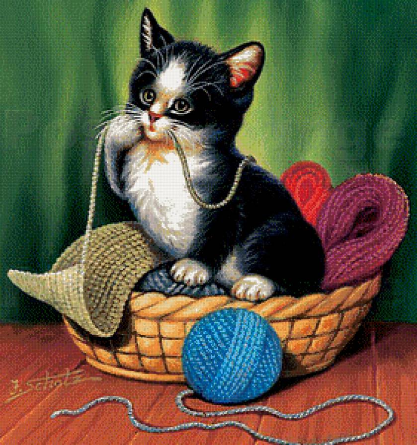 Котенок - предпросмотр