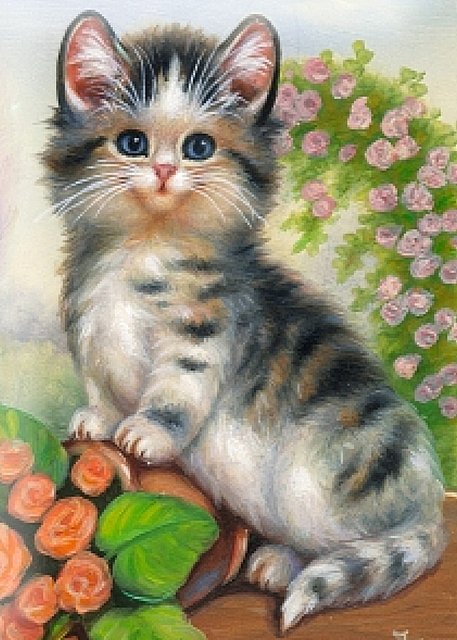 Котенок - оригинал