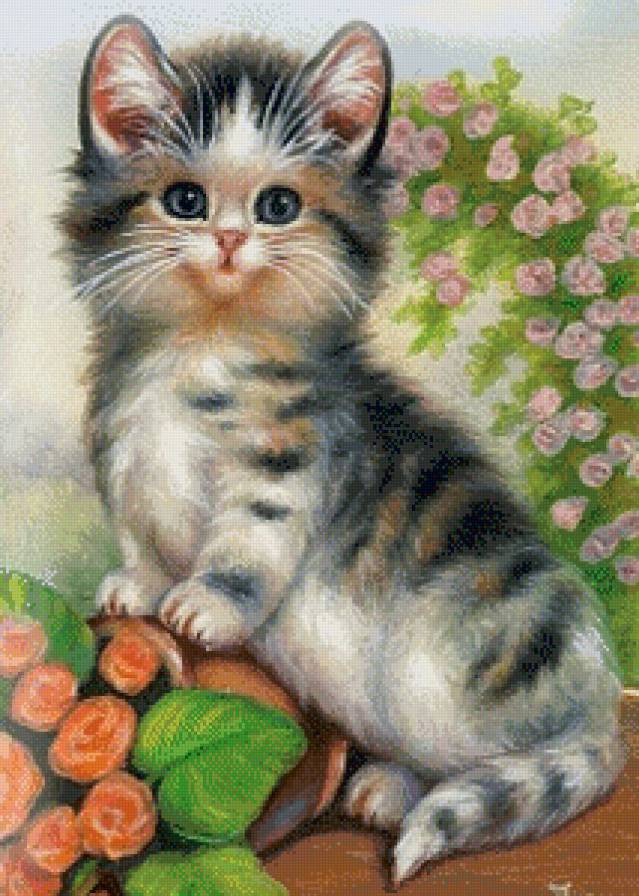 Котенок - предпросмотр