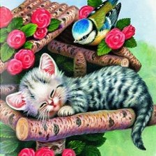 Схема вышивки «Котенок»