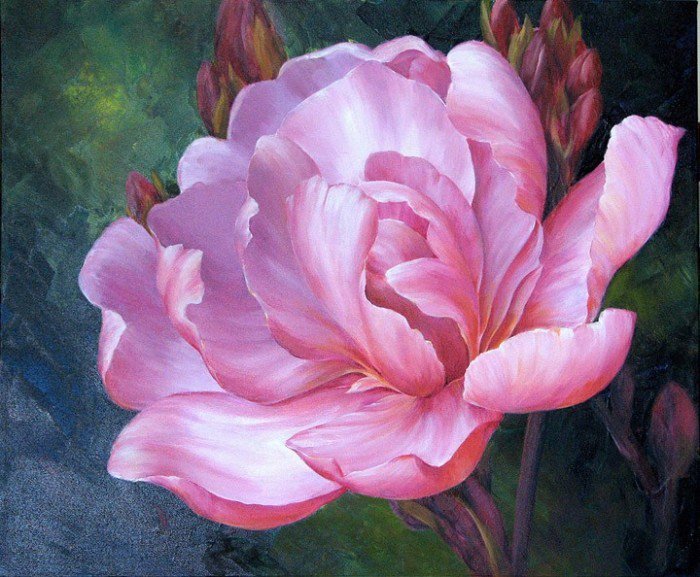 Первоцвет - цветы - оригинал