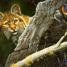 Наблюдатель