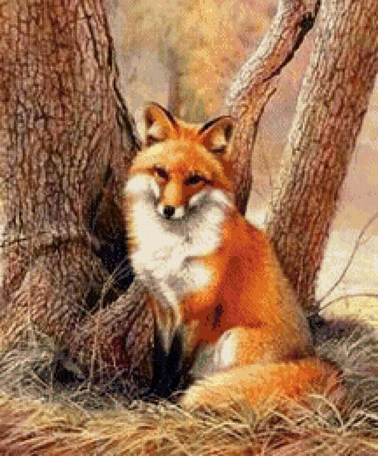 №582288 - животные - предпросмотр